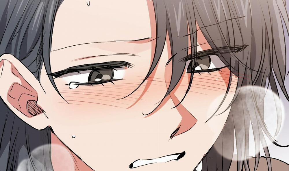 Đàn Thỏ Của Habibi 45 trang 147