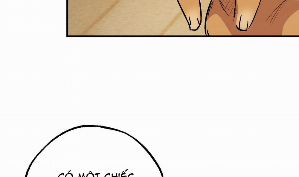 Đàn Thỏ Của Habibi 45 trang 156