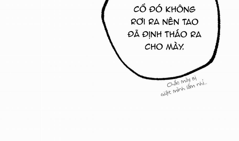 Đàn Thỏ Của Habibi 45 trang 160