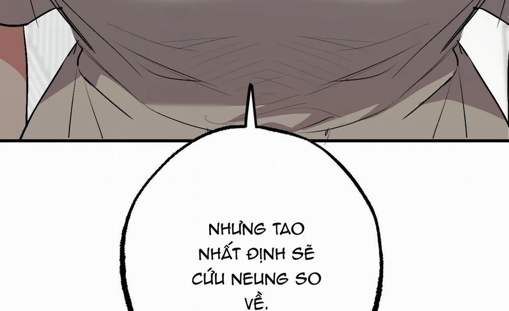 Đàn Thỏ Của Habibi 45 trang 187