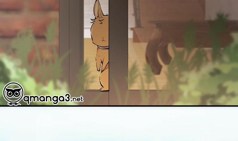 Đàn Thỏ Của Habibi 45 trang 203