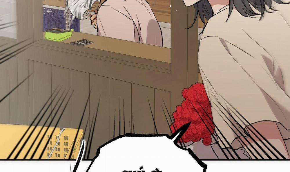 Đàn Thỏ Của Habibi 45 trang 226