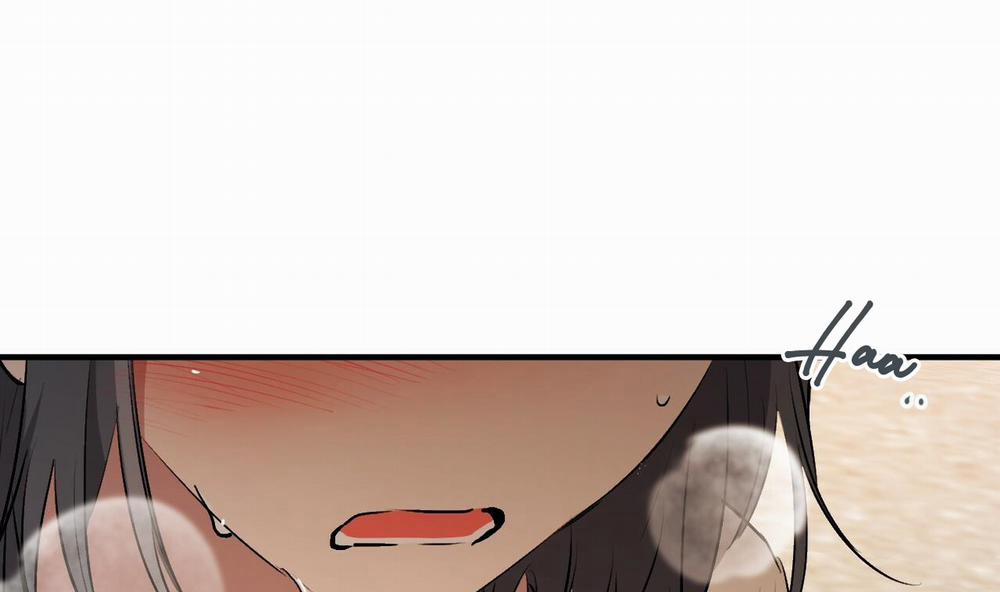 Đàn Thỏ Của Habibi 45 trang 248