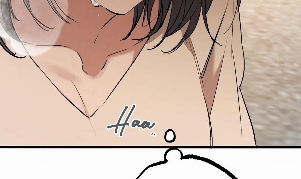 Đàn Thỏ Của Habibi 45 trang 249