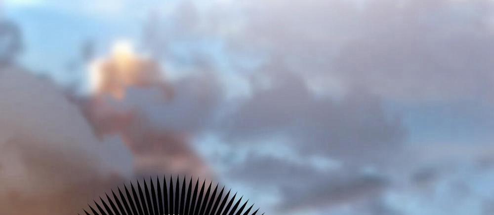 Đàn Thỏ Của Habibi 45 trang 262