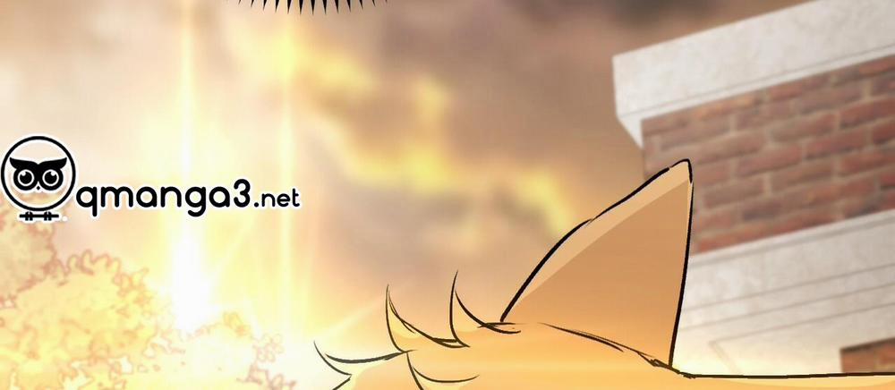 Đàn Thỏ Của Habibi 45 trang 264