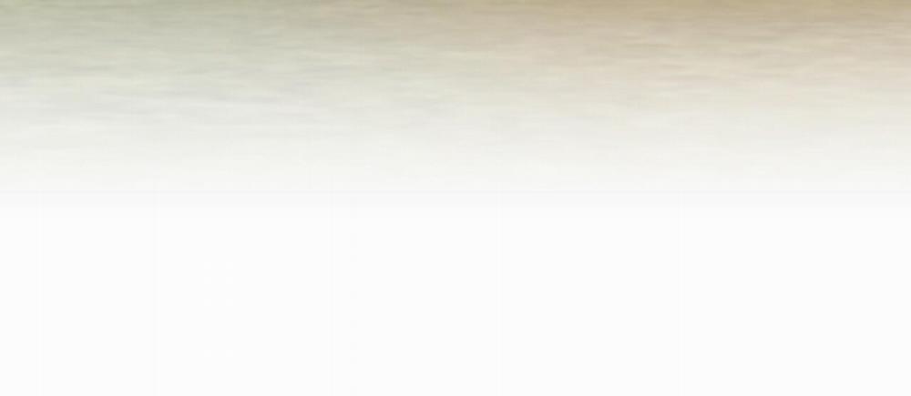 Đàn Thỏ Của Habibi 45 trang 268