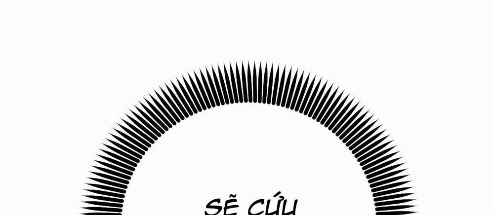 Đàn Thỏ Của Habibi 45 trang 269