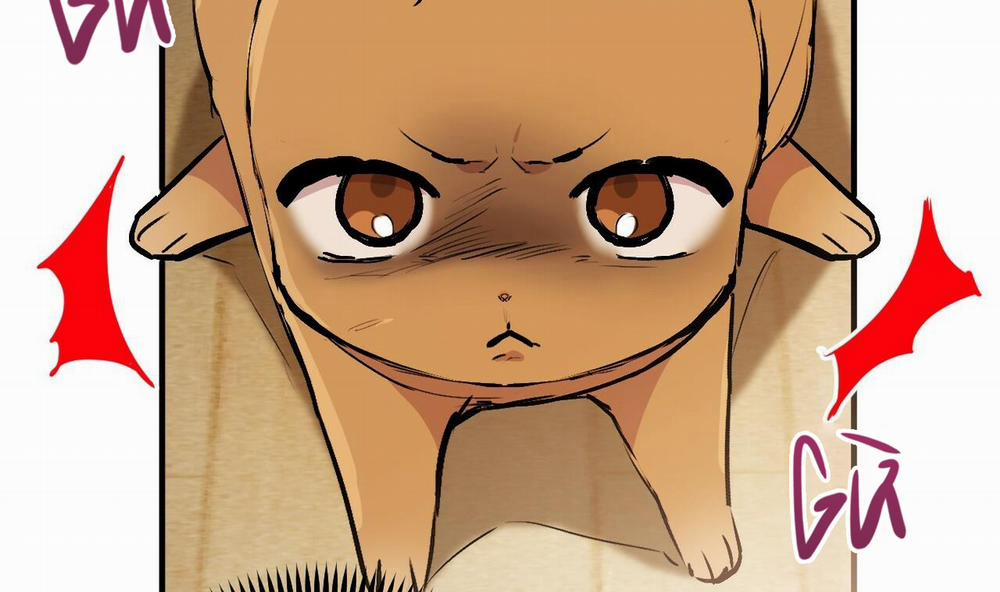 Đàn Thỏ Của Habibi 45 trang 41