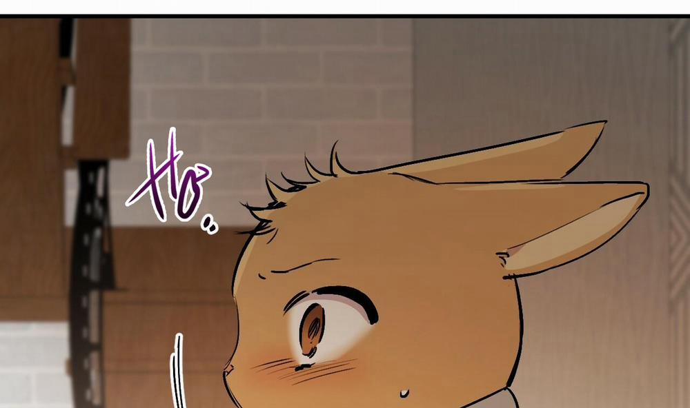 Đàn Thỏ Của Habibi 45 trang 64