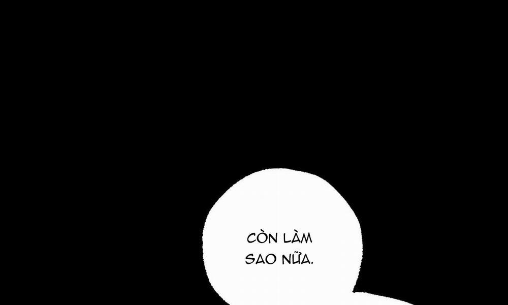 Đàn Thỏ Của Habibi 45 trang 94