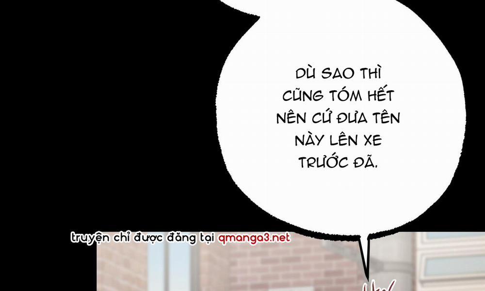 Đàn Thỏ Của Habibi 45 trang 95