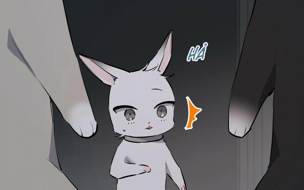 Đàn Thỏ Của Habibi 46 trang 104