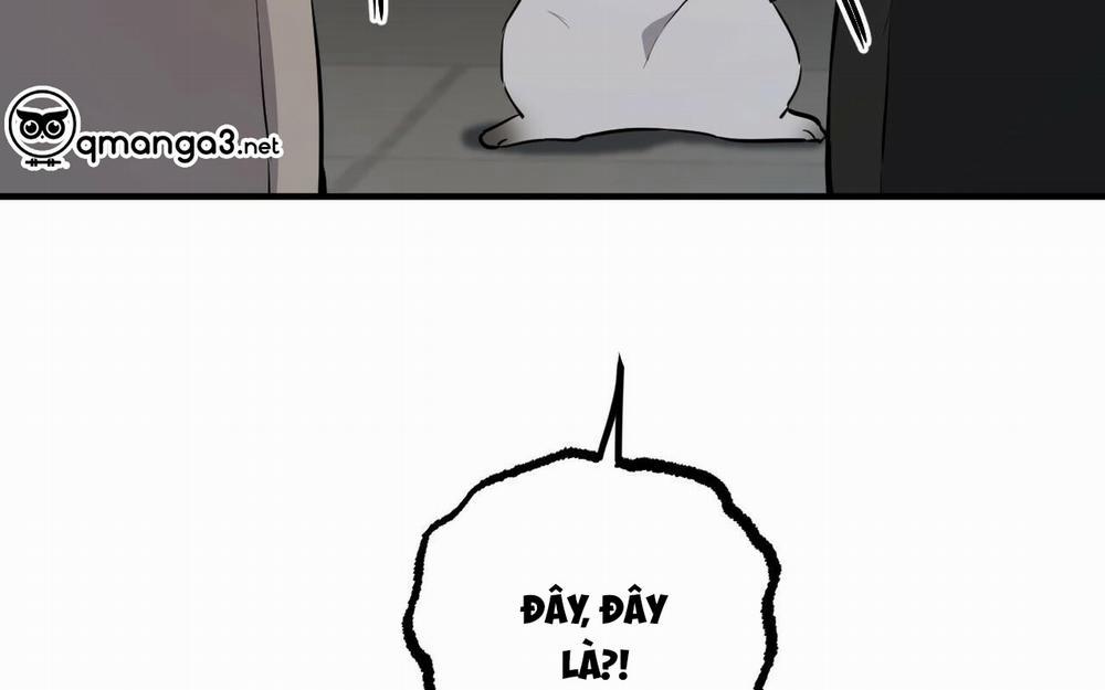 Đàn Thỏ Của Habibi 46 trang 13