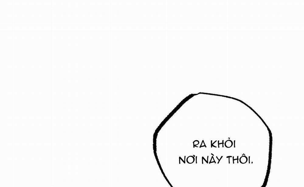 Đàn Thỏ Của Habibi 46 trang 141