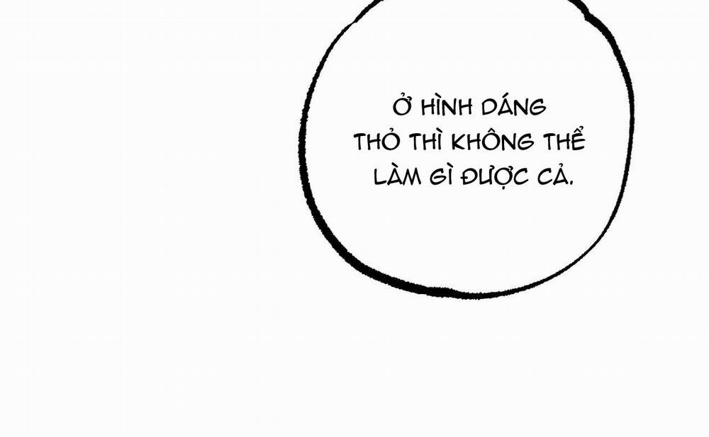 Đàn Thỏ Của Habibi 46 trang 148