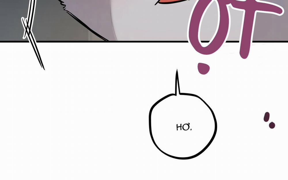 Đàn Thỏ Của Habibi 46 trang 17