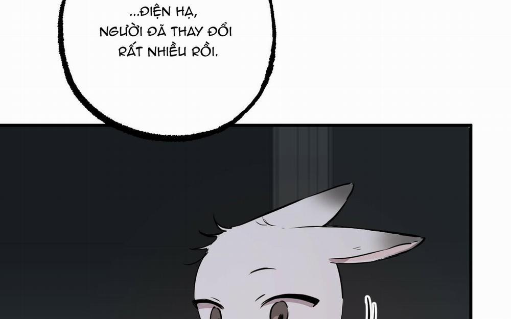 Đàn Thỏ Của Habibi 46 trang 172