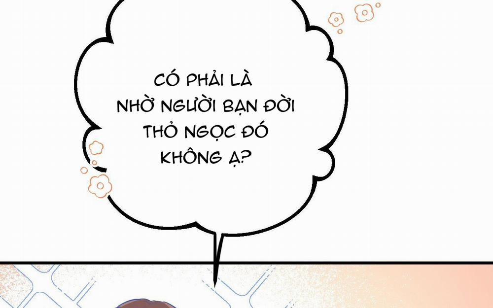 Đàn Thỏ Của Habibi 46 trang 175