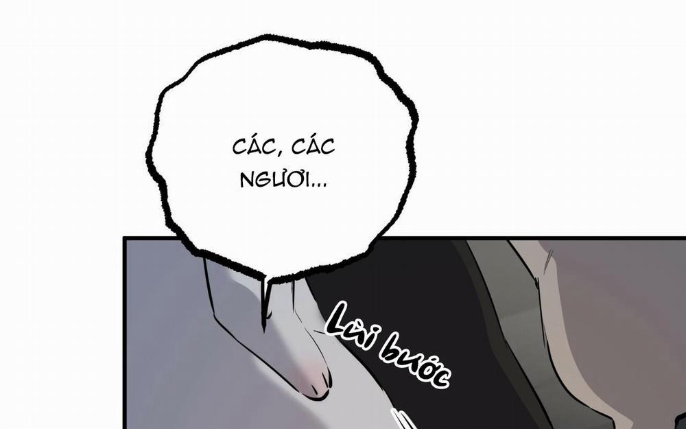 Đàn Thỏ Của Habibi 46 trang 19