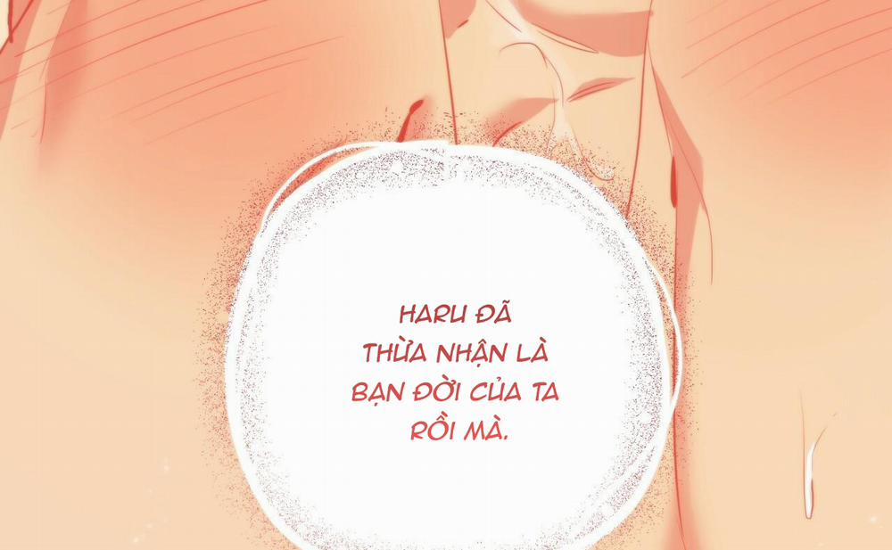 Đàn Thỏ Của Habibi 46 trang 249