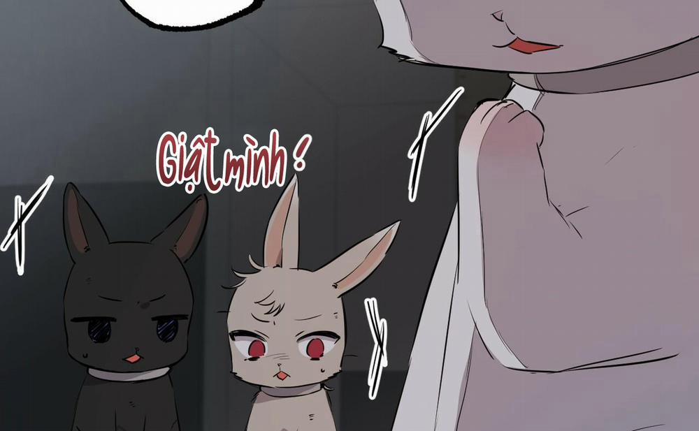 Đàn Thỏ Của Habibi 46 trang 252