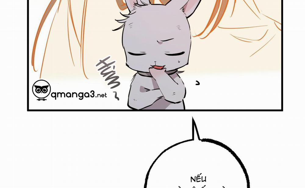 Đàn Thỏ Của Habibi 46 trang 259