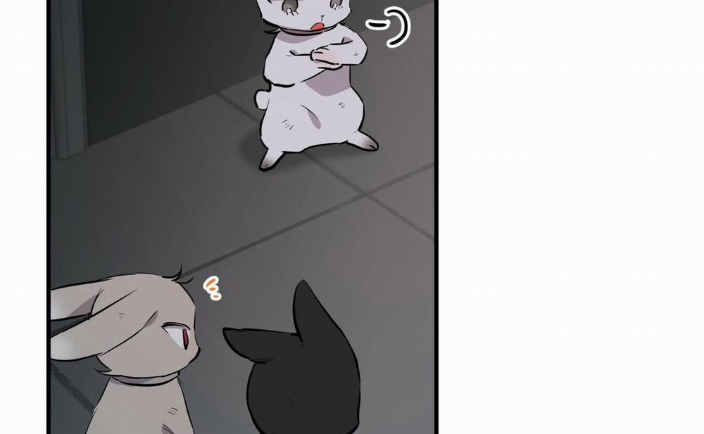 Đàn Thỏ Của Habibi 46 trang 263