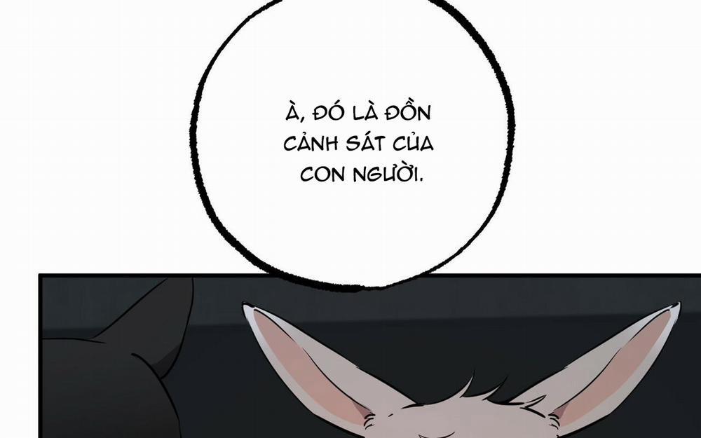 Đàn Thỏ Của Habibi 46 trang 266