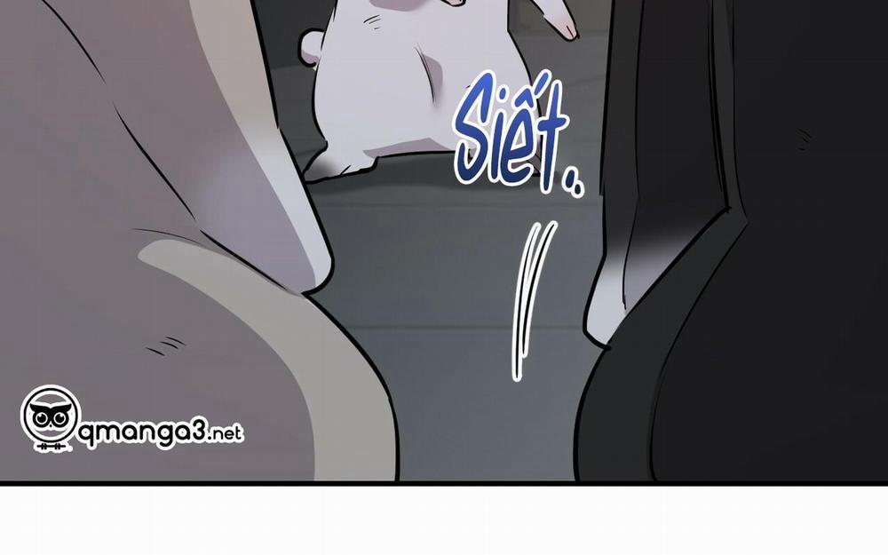 Đàn Thỏ Của Habibi 46 trang 272