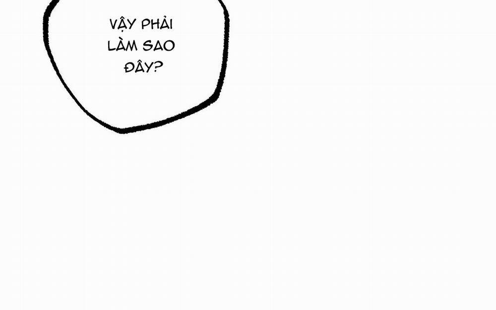 Đàn Thỏ Của Habibi 46 trang 281