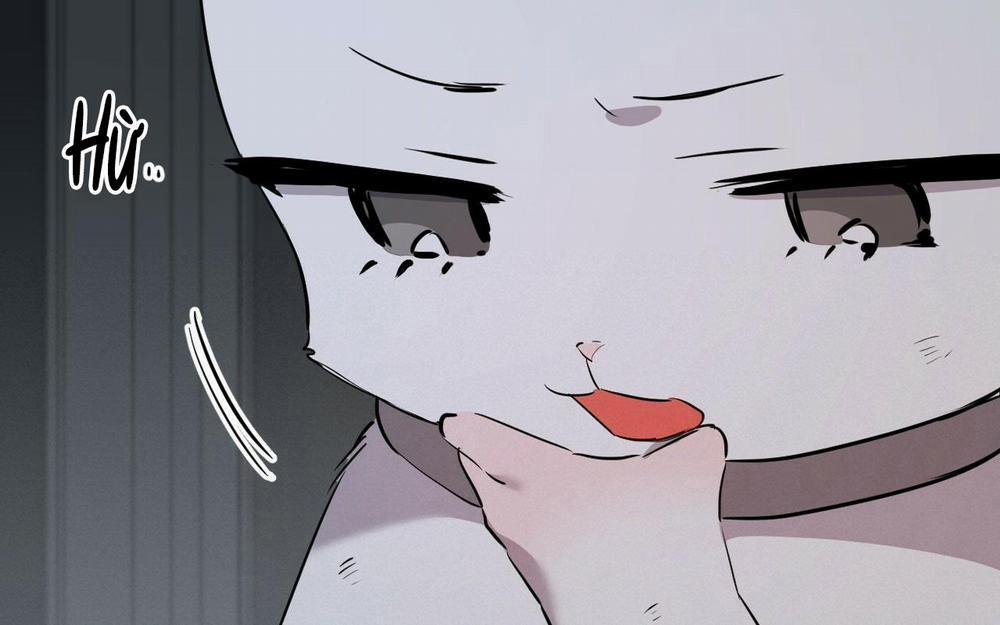 Đàn Thỏ Của Habibi 46 trang 287