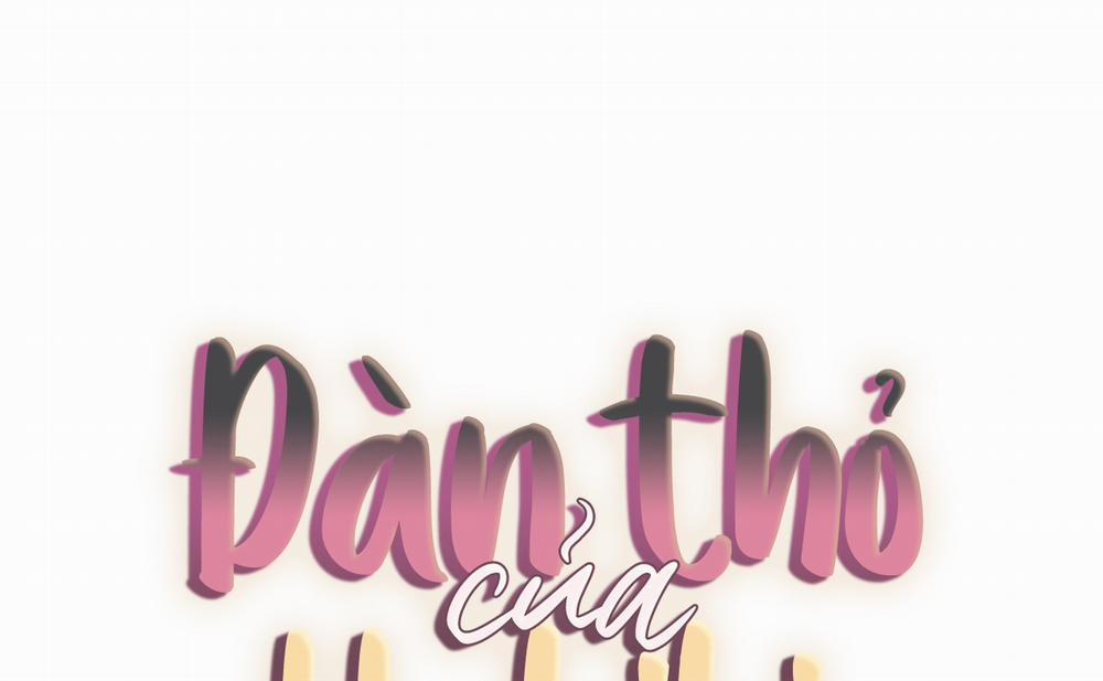 Đàn Thỏ Của Habibi 46 trang 31