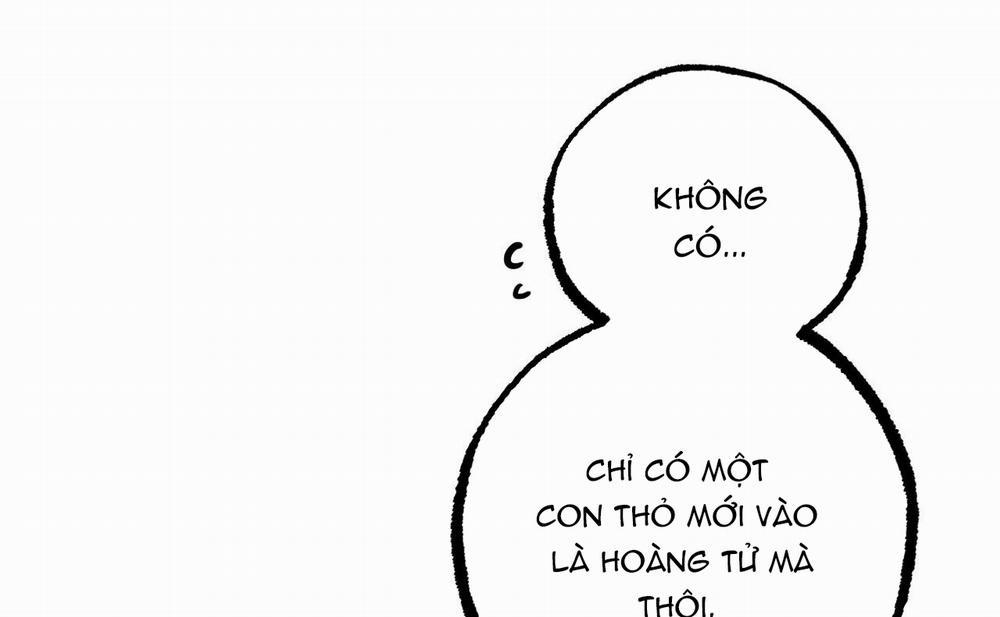 Đàn Thỏ Của Habibi 46 trang 46