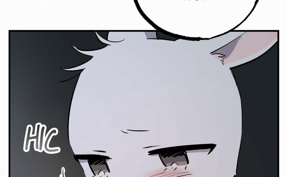 Đàn Thỏ Của Habibi 46 trang 47