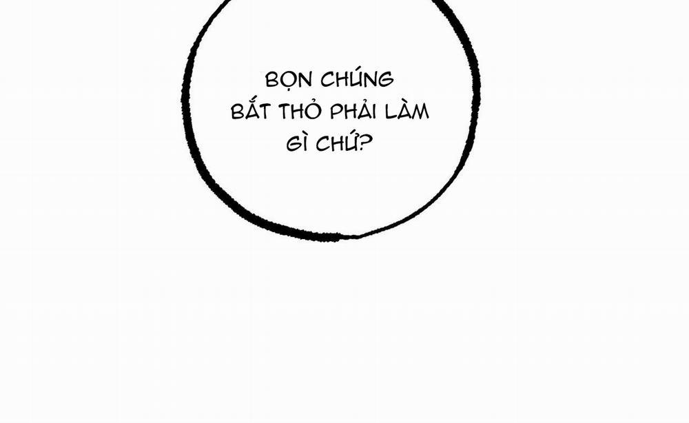 Đàn Thỏ Của Habibi 46 trang 60