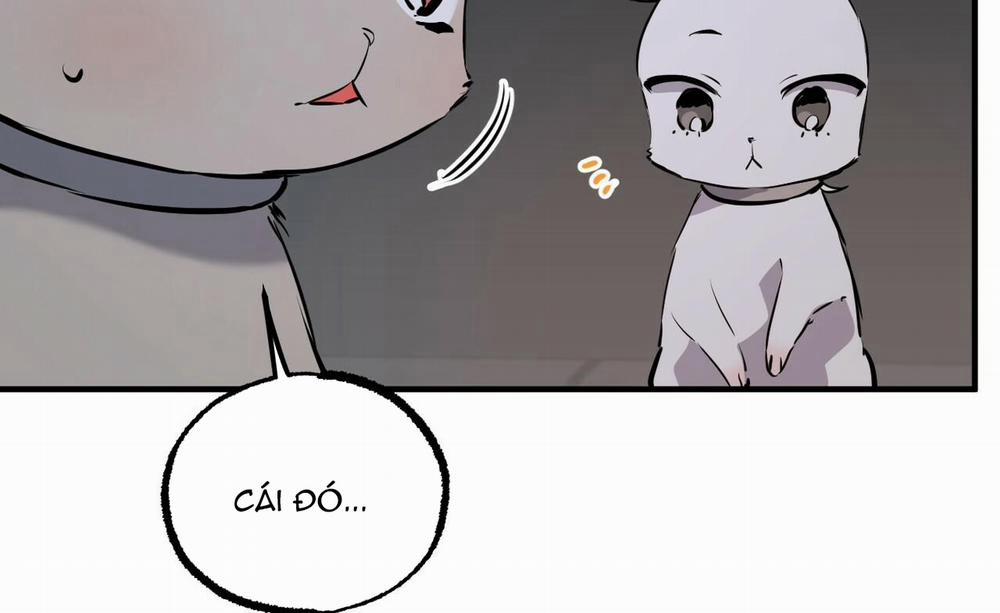 Đàn Thỏ Của Habibi 46 trang 62