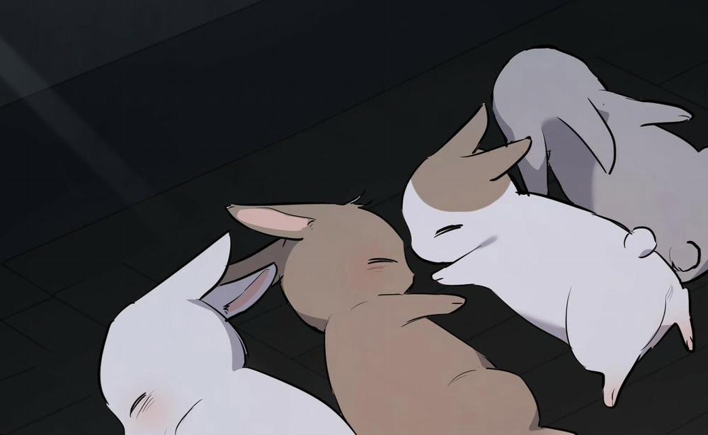 Đàn Thỏ Của Habibi 46 trang 66