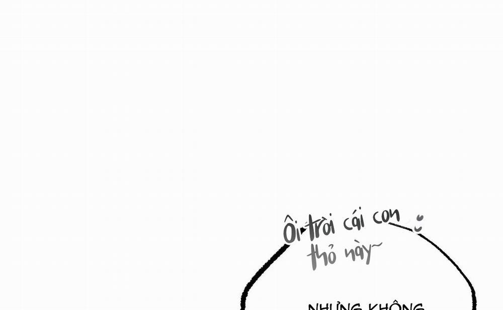 Đàn Thỏ Của Habibi 46 trang 85