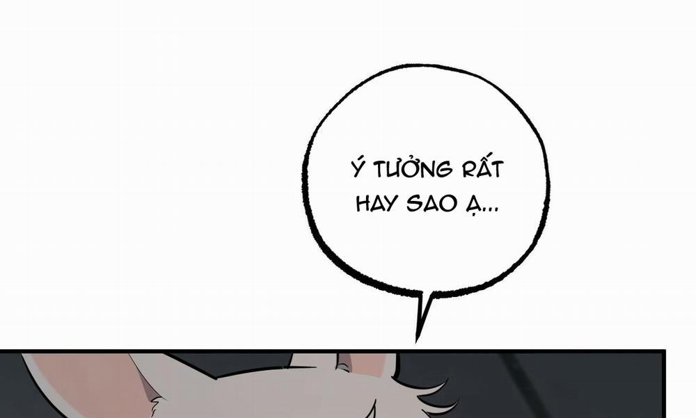 Đàn Thỏ Của Habibi 47 trang 1