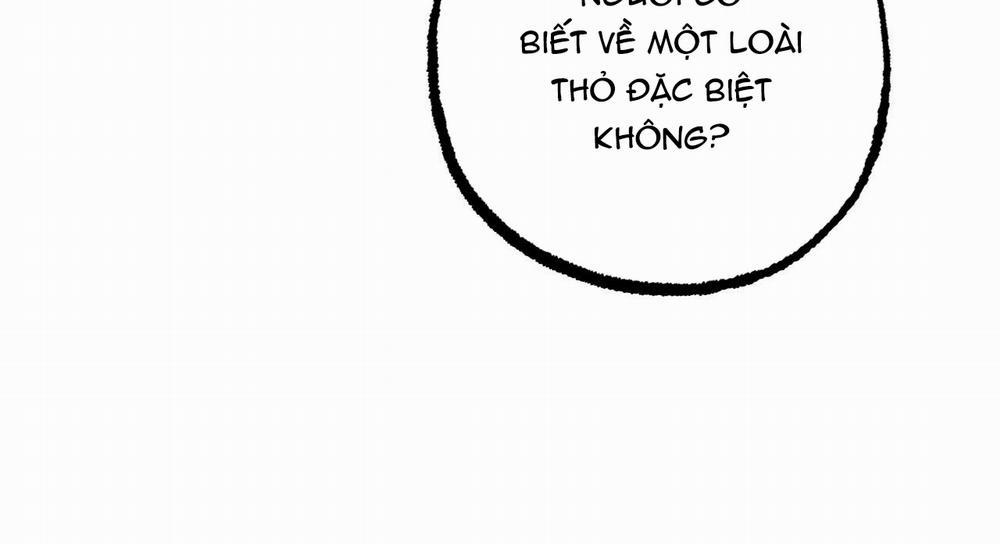 Đàn Thỏ Của Habibi 47 trang 113