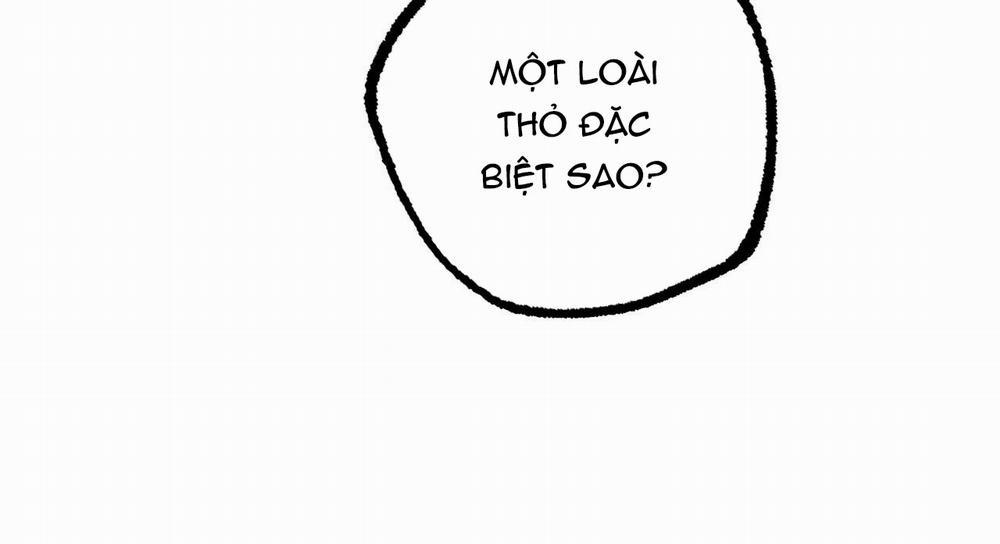 Đàn Thỏ Của Habibi 47 trang 117