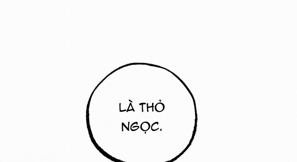 Đàn Thỏ Của Habibi 47 trang 119