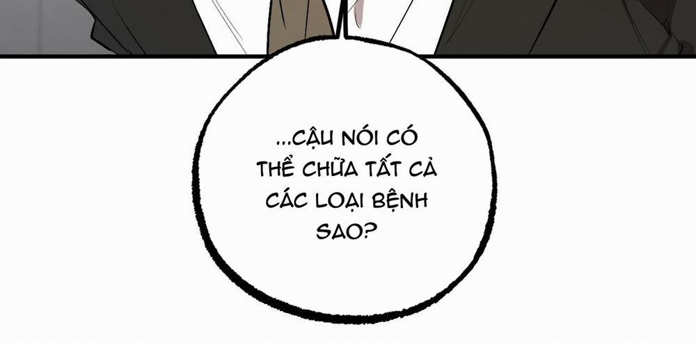 Đàn Thỏ Của Habibi 47 trang 129