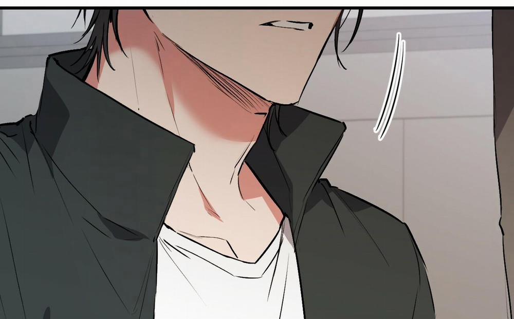 Đàn Thỏ Của Habibi 47 trang 153