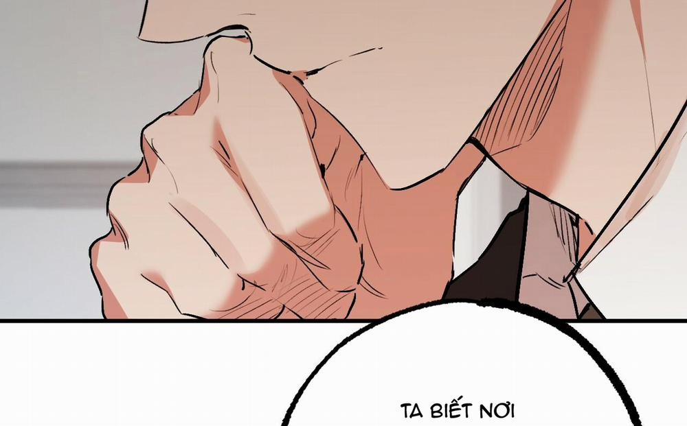 Đàn Thỏ Của Habibi 47 trang 164