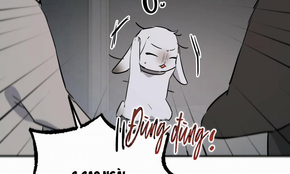 Đàn Thỏ Của Habibi 47 trang 19