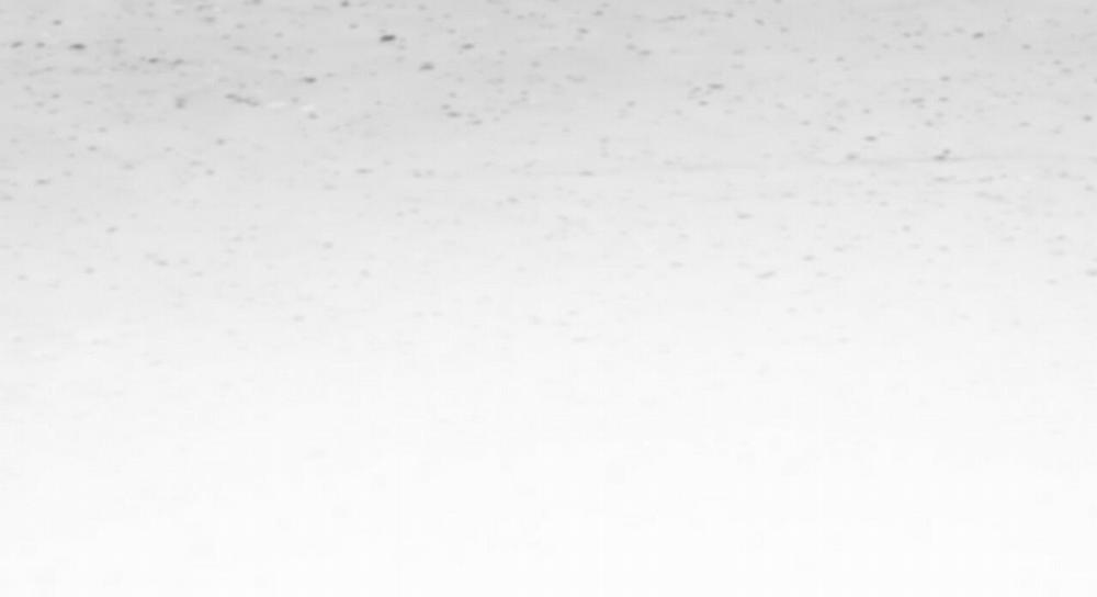 Đàn Thỏ Của Habibi 47 trang 194