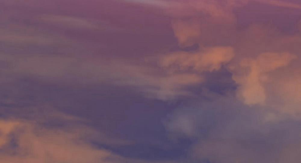 Đàn Thỏ Của Habibi 47 trang 198