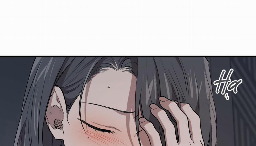 Đàn Thỏ Của Habibi 47 trang 211